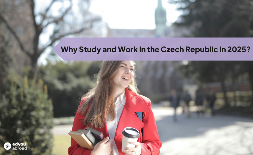 work and study in the czech republic