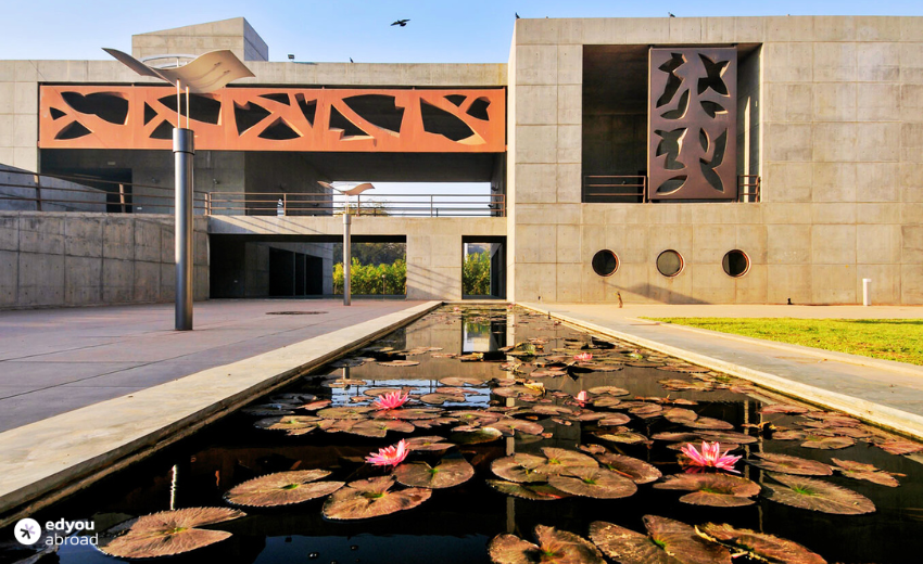 Honest Review of IIM Ahmedabad Dubai Campus