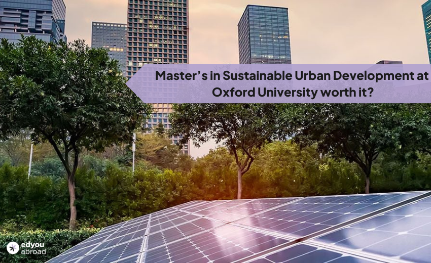 sustainability masters