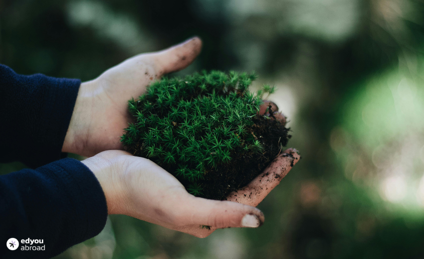 sustainability masters