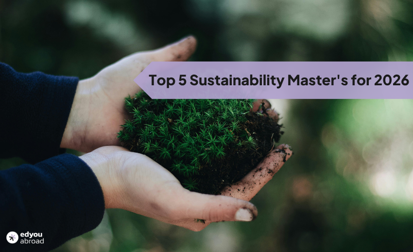 sustainability masters